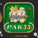 pak33 game