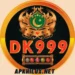 DK999 Game