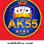 AK55 Game